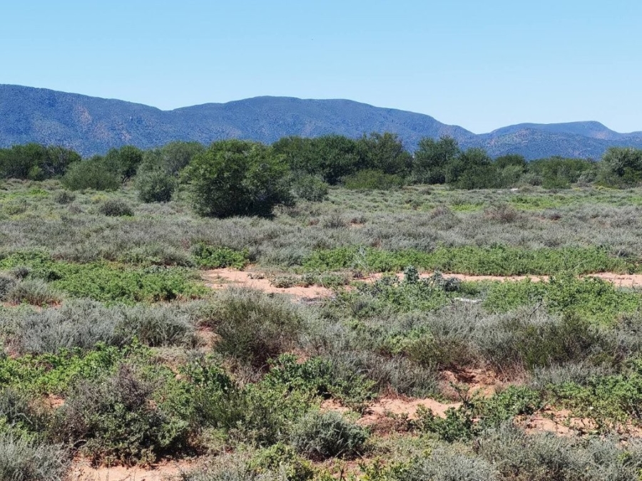 5 Bedroom Property for Sale in Steytlerville Eastern Cape
